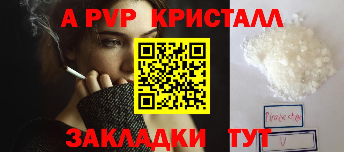 Альфа ПВП СК Кингисепп