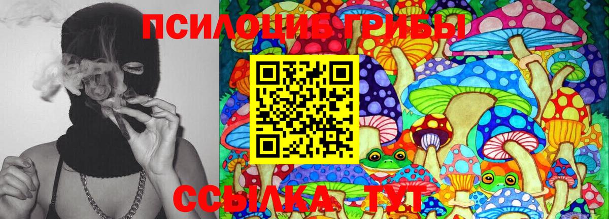 закладка  Псилоцибиновые грибы MAGIC MUSHROOMS  Вход с VPN  Кингисепп 