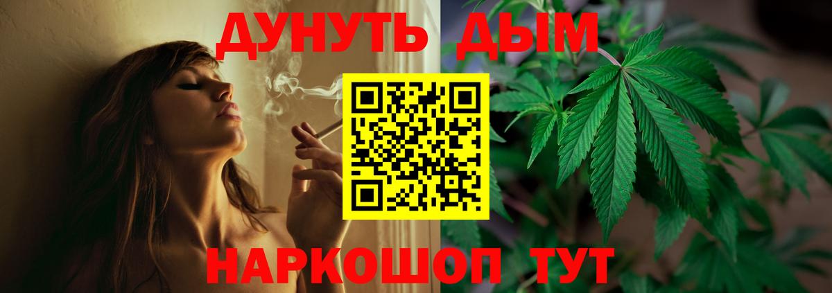 Каннабис OG Kush  Вход с VPN  Кингисепп  Бошки Шишки сатива 